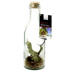 Carafe Rhum Arrangé...