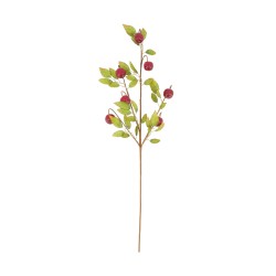 Tige De Mini Pomme Rouge En...