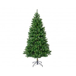 Sapin Kenmore Vert En...