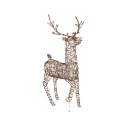 Renne Couché Led...