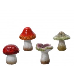 Champignon En Terre Cuite...