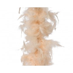 Boa Plume Saumon H150 En...