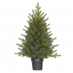 Sapin Flachau En Pot...