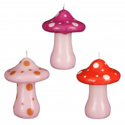 Bougie Champignon...