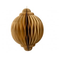 Suspension Oignon Pliable...