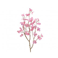 Tige De Fleurettes Rose...