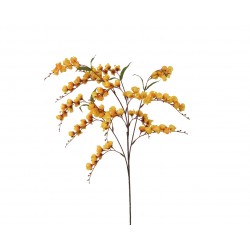 Tige De Physalis Jaune...