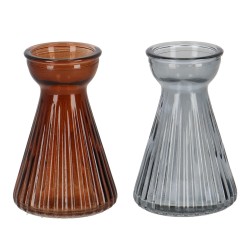 Vase Bulbe Crocus Strié...