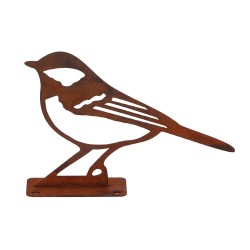 Mésange Charbonnière...