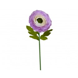 Tige De Renoncule Lilas En...