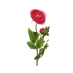 Tige De Camelia Rose En...