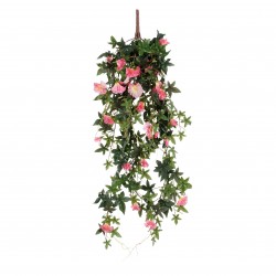 Chute De Liseron Rose En...