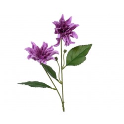 Tige De Dahlia X2 Violet En...