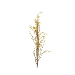 Tige De Forsythia Jaune En...