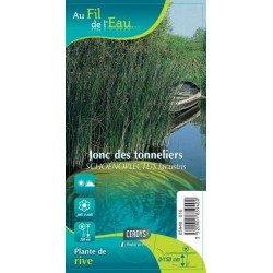 SCHOENOPLECTUS lacustris...