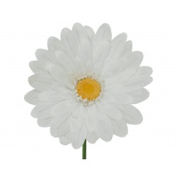 Tige De Gerbera Blanc En...