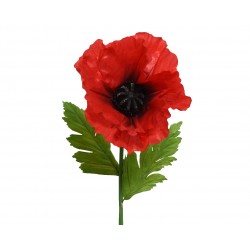 Tige De Coquelicot Rouge En...