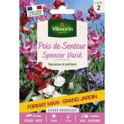 VILMORIN MAXI-GRAND...