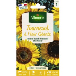 VILMORIN TOURNESOL À fleur...