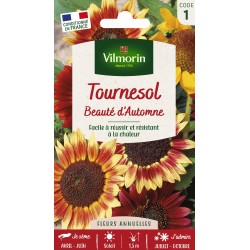 VILMORIN TOURNESOL Beauté...