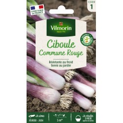 VILMORIN CIBOULE Commune...