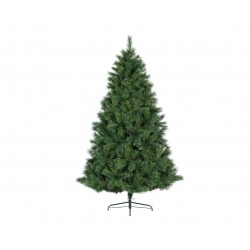 Sapin Ontario Vert H150 En...