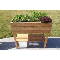 POTAGER SUR PIED 100 FSC