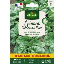 VILMORIN MAXI-GRAND...