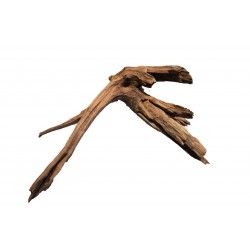 SUPERFISH BOIS NATUREL...