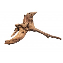 SUPERFISH BOIS NATUREL...