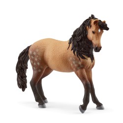 Jument Andalouse Horse Club...