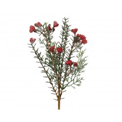 Branche Sapin/Fleurs...