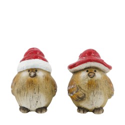 Oiseau Bonnet De Père Noël...