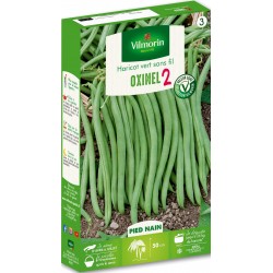 VILMORIN HARICOT Vert Nain...