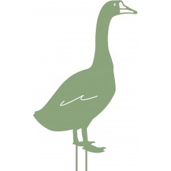 Oie à piquer 50x34 vert...