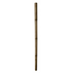 Tuteur bambou deco Ø7/9-H200