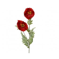 Tige De Coquelicot Rouge En...