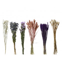 Botte De Fleurs Séchées...
