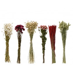 Botte De Fleurs Séchées...