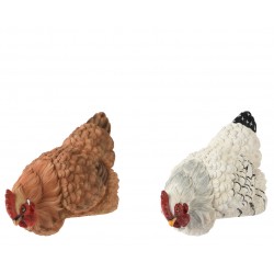 Poule Rebord D'Étagère En...