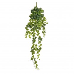 Suspension Lierre...