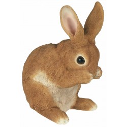 Lapereau pattes sur museau...